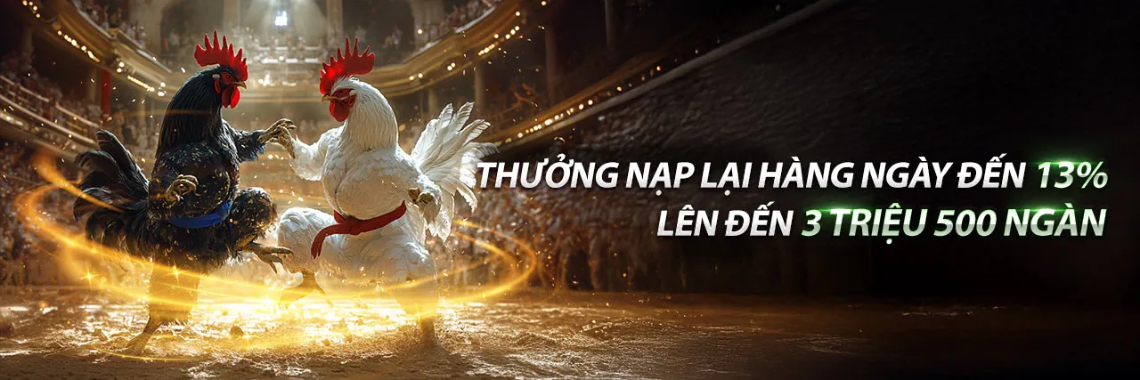 Hình ảnh chính của blog 168vn login với các trò chơi cá cược trực tuyến